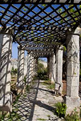 Safi Malta Tour